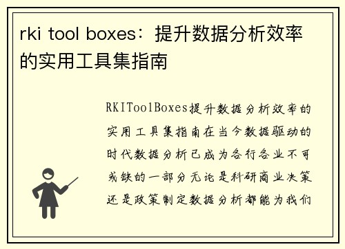 rki tool boxes：提升数据分析效率的实用工具集指南